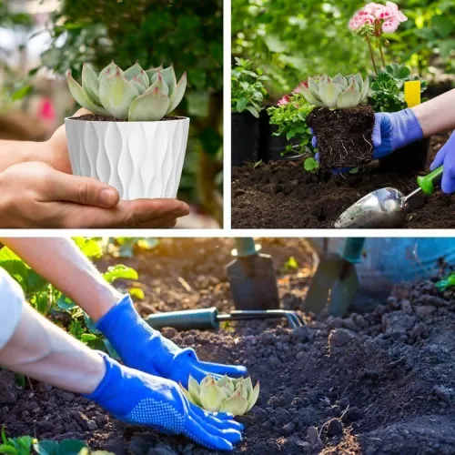 Image of Durable Stylish White Round Plastic Pots | Pack of 5
