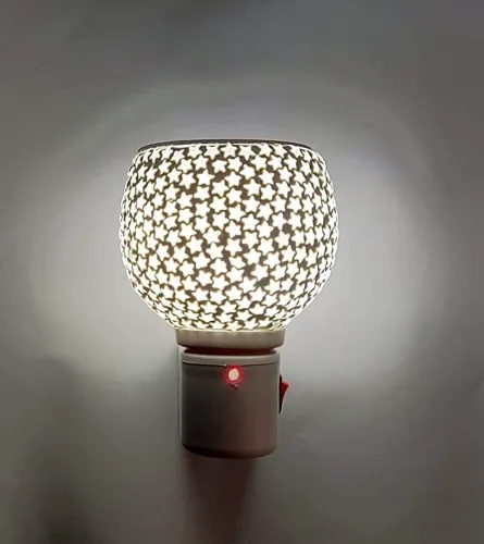 Image of Dwellic Kapoor Dani Electrical Camphor Glass & Essential Oil Diffuser 