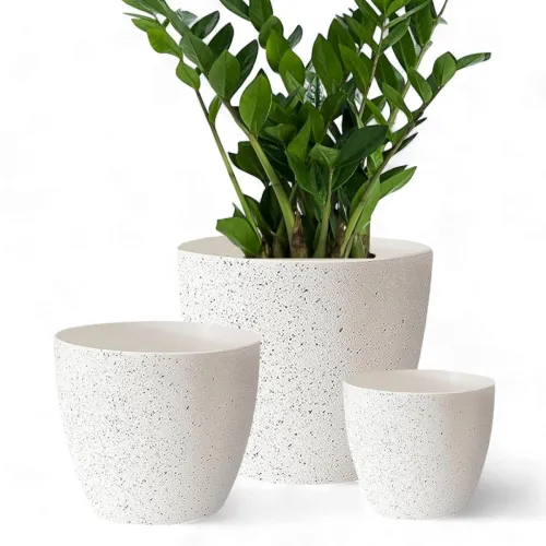 Image of ecofynd 3 Pack Terracotta Pots for Plants