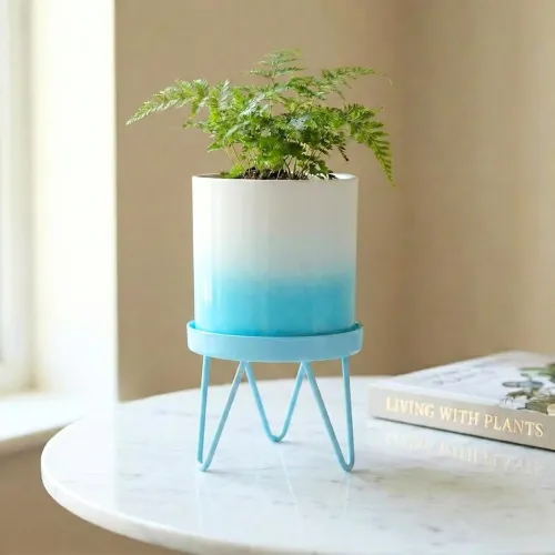 Image of ecofynd Lucas Metal Plant Pot with Sky Blue Stand,
