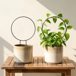 ecofynd Metal Garden Trellis for Climbing Plants