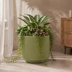 elaris Refreshing Ribbed Ceramic Planter for Indoor Plants