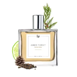EM5 Amber Forest Perfume for Men | Amber Woody Warm Spicy Smoky Fragrance | 50 ml Eau de Parfum Spray | Luxury Gift for Him