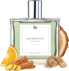 Em5 Imagination Perfume for Men | Citrus Amber Fresh Spicy Fragrance Eau de Parfum - 50 ml (For Men)