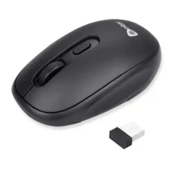 Enter Wireless Voyager Mouse 