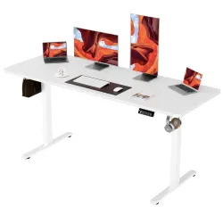 ERGOMAKER Electric Standing Desk for Home Office