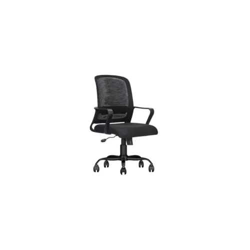 Image of Ergonomic Office Chair with Breathable Mesh Back | Adjustable Height, Padded Seat, Lumbar Support, 360° Swivel, Smooth R