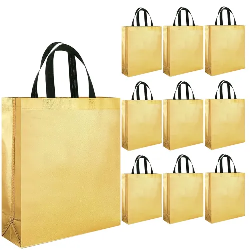 Image of Evafly Gift Bag Medium Size Pack of 10