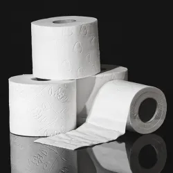 Everbite Eco friendly Soft Toilet Tissue Paper Rolls  (2 Ply, 240 Sheets)