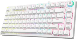 EVOFOX Katana X2 TKL Mechanical Wired USB Tenkeyless Gaming Keyboard Compatible with Desktop, Laptop, Mac (White)