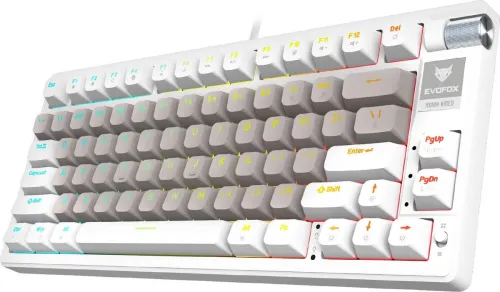 Image of EVOFOX Ronin Keyboard Compatible with Desktop