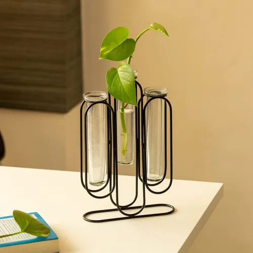 Image of ExclusiveLane Modern Glass Test Tube Planter