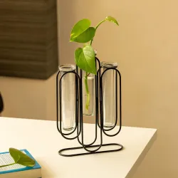 ExclusiveLane Modern Glass Test Tube Planter