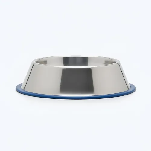 Image of Ezra Comfort Stainless Steel Dog Bowl