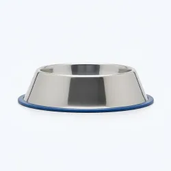 Ezra Comfort Stainless Steel Dog Bowl