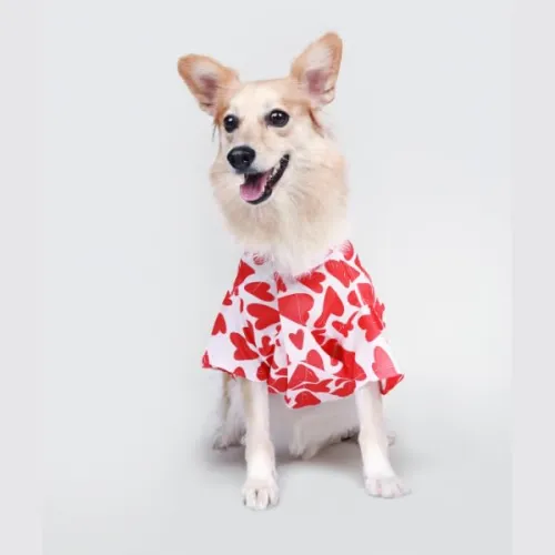 Image of Ezra Polyester Blend Dog Shirt Small
