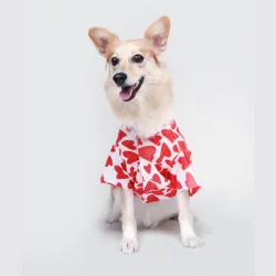 Ezra Polyester Blend Dog Shirt Small
