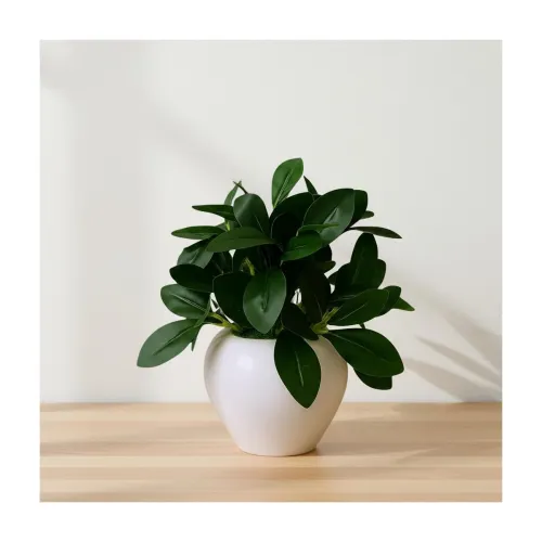 Image of fancymart Plastic Artificial Rubber Plant