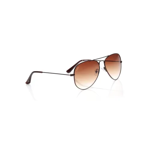 Image of Fastrack Tees Brown Aviator Sunglasses for unisex