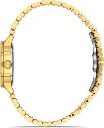 Ferro Amalfi Analog Watch  - For Women FL43010A-B