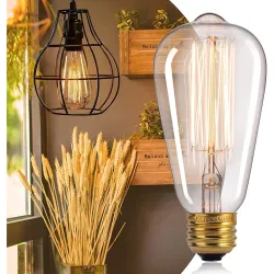Filament Antique Glass Light Incandescent Bulbs
