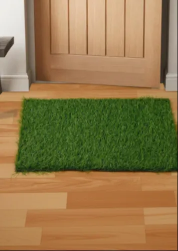 Image of FINE TEX WORLD Green Durable Antiskid Doormats
