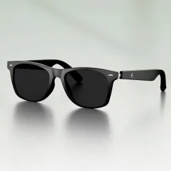 Fire-Boltt Fire-Lens Dune Smart Glasses