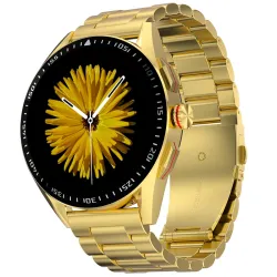 Fire-Boltt Invincible Plus 1.43\ AMOLED Display Smartwatch