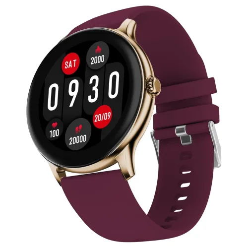 Image of Fire-Boltt Phoenix Pro Smart Watch