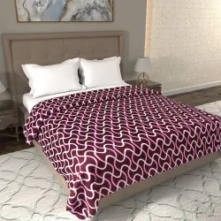 Flipkart Perfect Homes Double AC Blanket