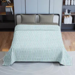 Flipkart Perfect Homes Queen AC Comforter