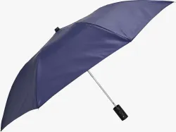 Flipkart SmartBuy 2-Fold Auto Open Umbrella