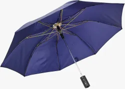 Flipkart SmartBuy Auto Open Fold Umbrella