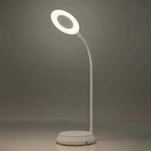 Image of Flipkart SmartBuy FKSB-6059 Study Lamp