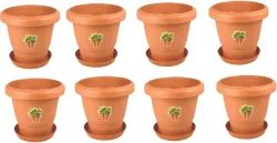 Flipkart SmartBuy Garden Planters – Pack of 8, with Trays, Plastic