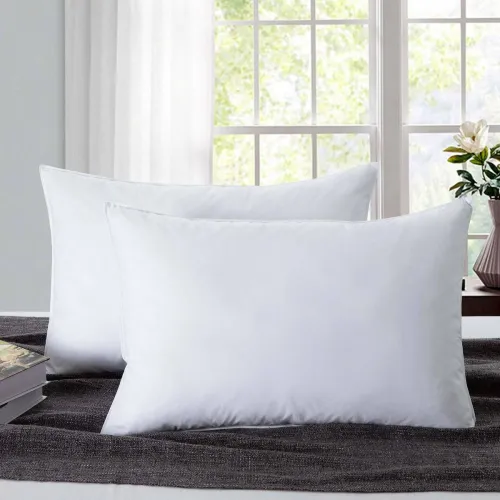Image of Flipkart SmartBuy Pillow Pack of 2 