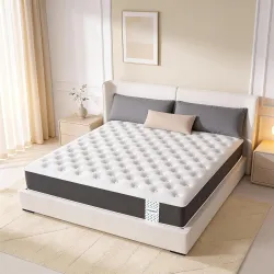 Florance Premium Flip Dual Comfort Mattress with Pain Relief