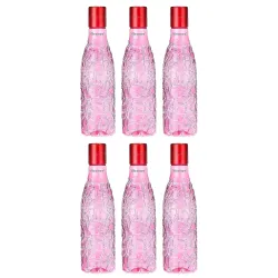 Floraware 1000ml Fridge Water Bottle Pack