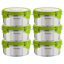 Floraware Stainless Steel Insulated Lunch Box Set of 6, 300ml
