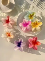 Flower Pack of 4 Hair Clip (Multicolor)