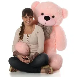 Fluffies Ultra Soft Teddy Bear for Kids, Lovable Huggable Cute Soft Giant Teddy Bear for Girlfriends/Wife/Kids/Boys (Pin