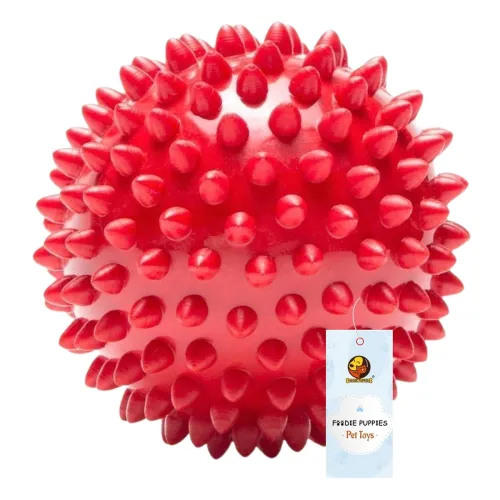 Image of Foodie Puppies Natural Rubber Spike Ball 