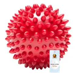 Foodie Puppies Natural Rubber Spike Ball 