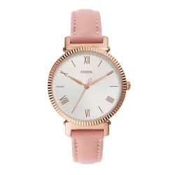 Fossil Daisy Nude Watch ES4794