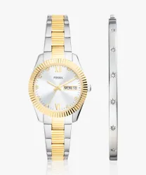 FOSSIL Scarlette Analog Watch - For Women ES5253SET