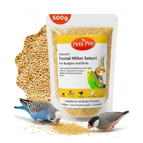Image of Foxtail Millet Kangni Bird Food (500g)