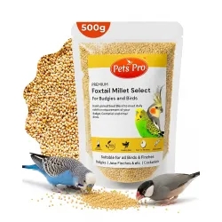 Foxtail Millet Kangni 500 Gm | Premium Machine Cleaned Bird Sparrow Food for Budgies, Lovebirds, Cockatiels, Parrots, Finches, Canaries & Wild Birds – Natural Healthy Millet Seeds