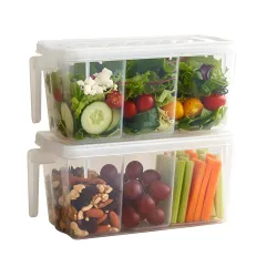 Fridge Storage Boxes Food Grade Containers 5L Set of 2