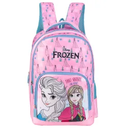 Frozen School Bag