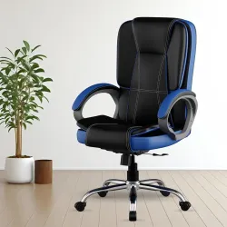 FUGO FG12 Orthopedic Boss Chair 